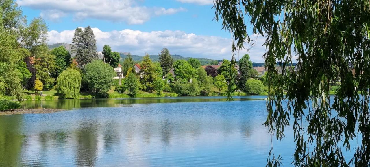Ferienwohnung Zum Hirschen Герцберґ-ам-Гарц Екстер'єр фото